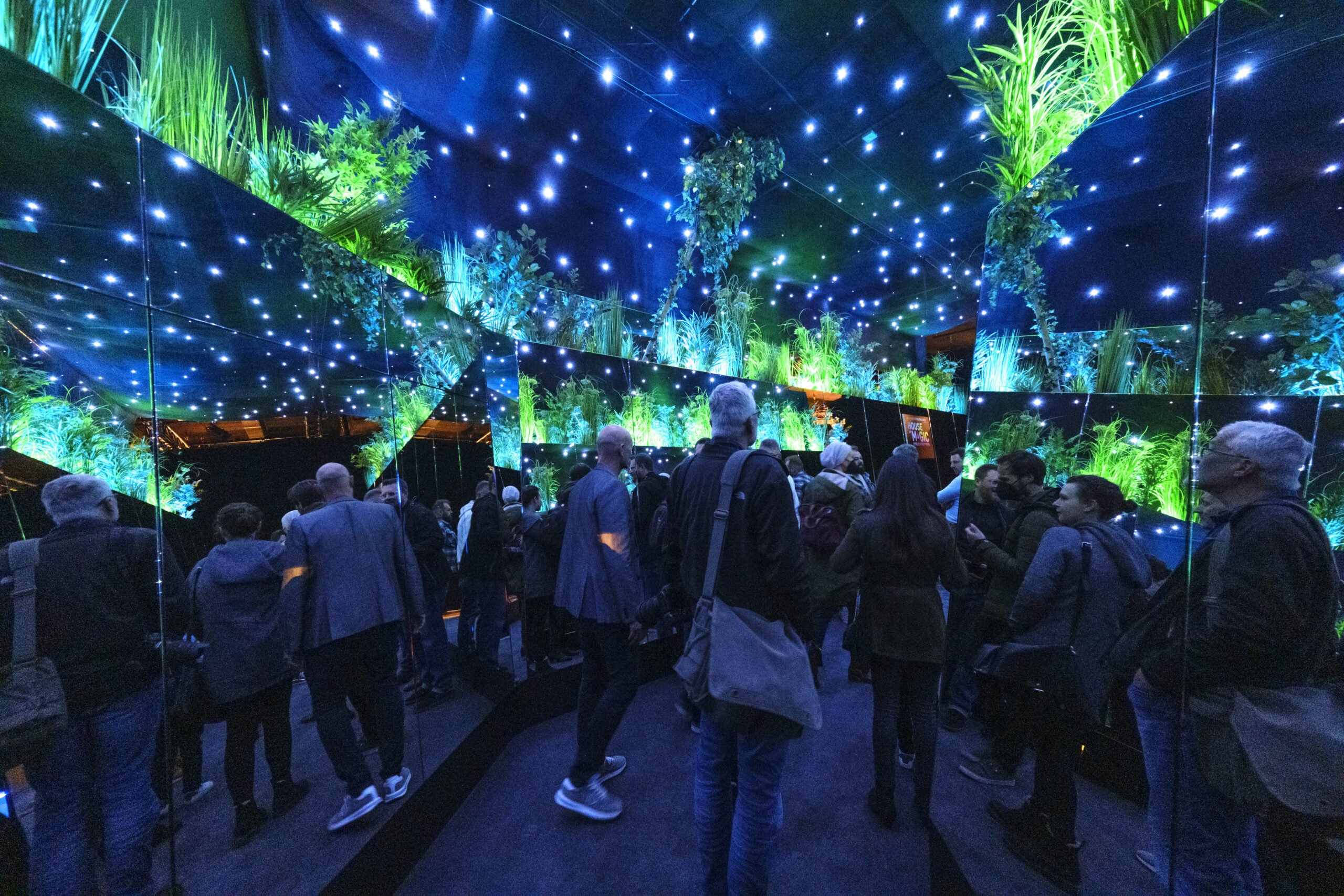 🪄 마법의 집 (하우스 오브 매직)